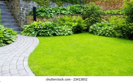 Garden Stone Path Grass Growing Between Stock Photo 1050046013