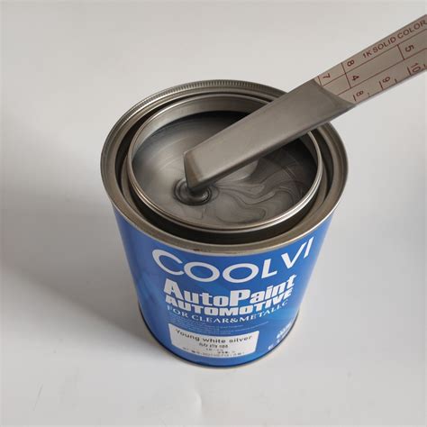 silver dollar paint 6