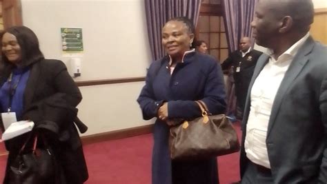 W Cape High Court Declares Suspension Of Public Protector Busisiwe