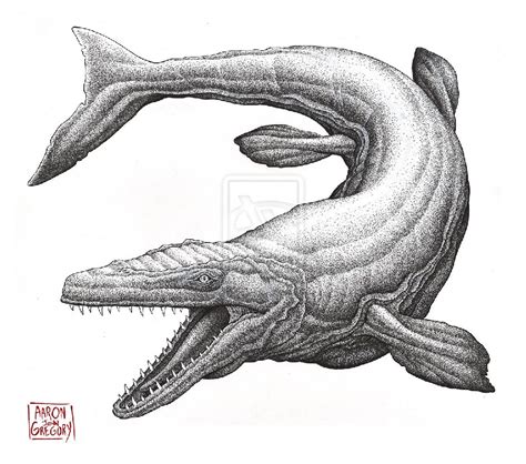 Mosasaurus Pictures & Facts - The Dinosaur Database