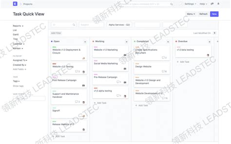 项目管理系统 Pms 简化团队沟通并加快工作速度 领新 Leadstec