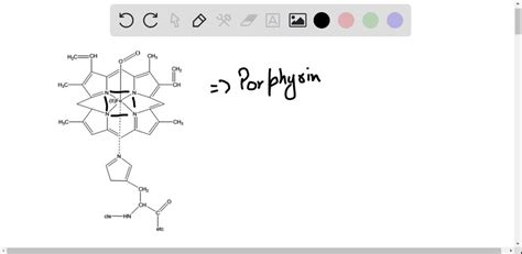 SOLVED If A Metal Ion Is Held In The Center Of A Porphyrin Ring