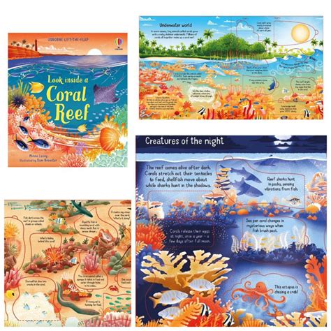 Jual Usborne Look Inside Series Coral Farm Science Computer Volcano