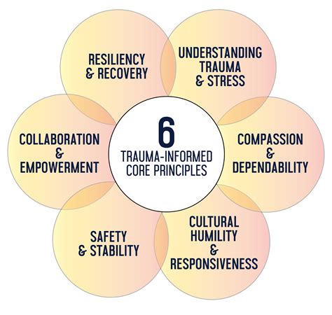 Seven Principles Of Trauma Informed Care Highlighted Arizona Trauma