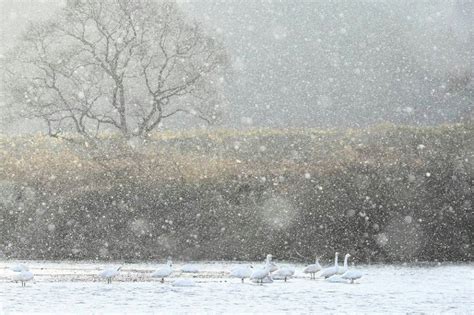 雪の名前は何種類？降り方や状態で変わる雪の名前を大特集！