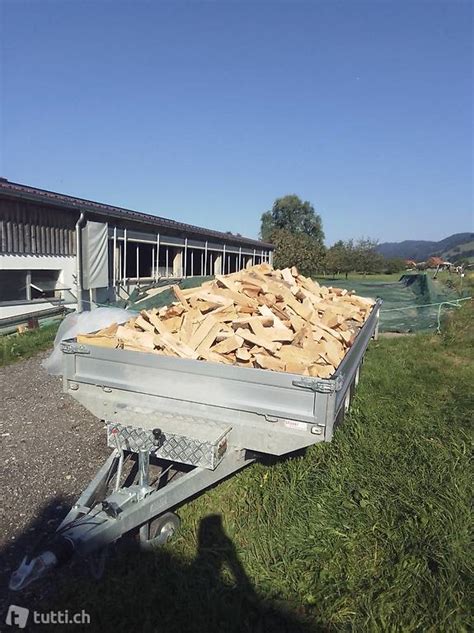 Cheminée Buchen Brennholz im Kanton Zug tutti ch