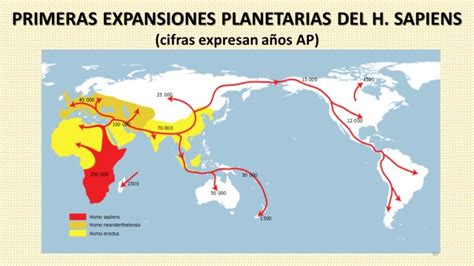 La Evoluci N Hacia El Homo Sapiens Visi N Actual Del Largo Camino De