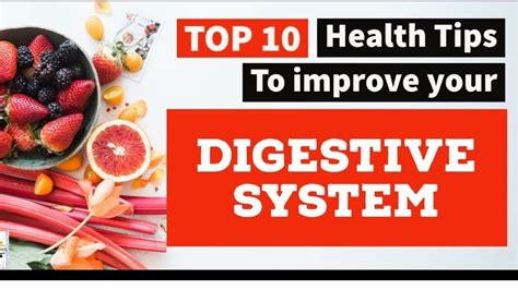 Digestive System Human 10 Healthy Tips To Improve Your Digestive