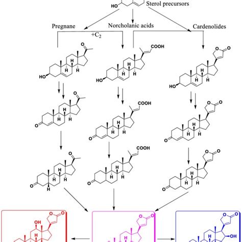 (PDF) Plant Cardenolides in Therapeutics