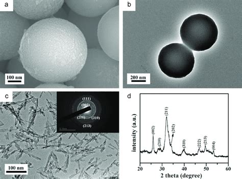 A Sem And B Tem Images Of The Pda Nps C Tem Image Of The