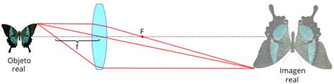 Lente Convergente Definici N Par Metros Y Funcionamiento