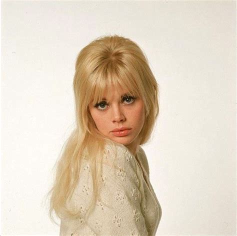 Britt Ekland The 1960s Swedish Beauty Icon Vintage Everyday