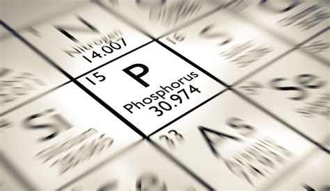 The Importance of Phosphorus in the Human Body - SCALAR LIGHT