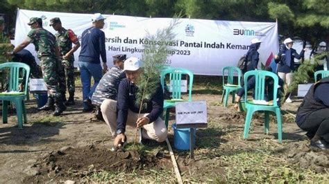 Pln Uip Jbt Salurkan Bantuan Pohon Ke Pantai Indah Kemangi