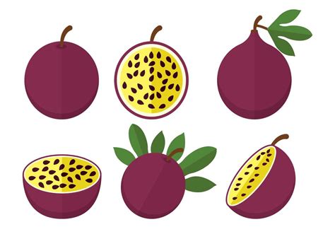 Passion Fruit Vector 127515 Vector Art At Vecteezy