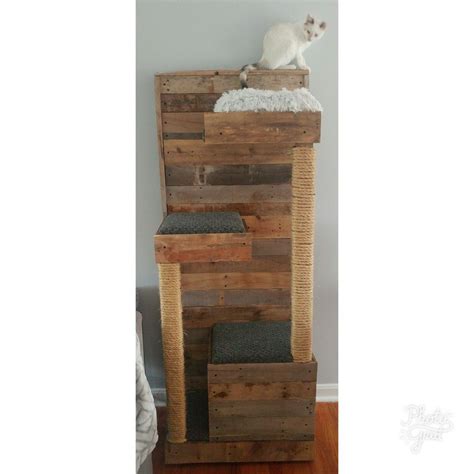 Diy Wood Pallet Cat House Diy Wood