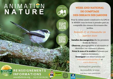 Week End National De Comptage Des Oiseaux Des Jardins Eure Et Loir Nature