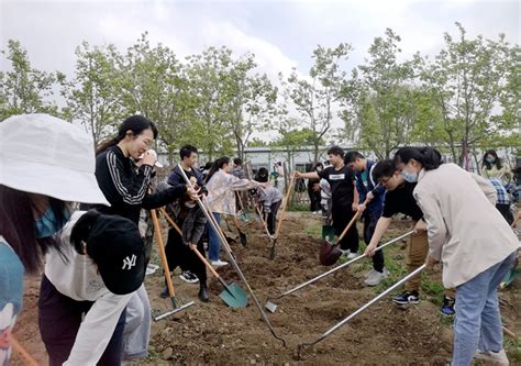 南开大学广泛开展劳动教育 促进学生全面发展 南开要闻 南开大学