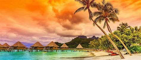 Amazon ZAFUL Womens High Cut Thong Bikini Set Swimsuits Cami String Sexy Bathing Suit