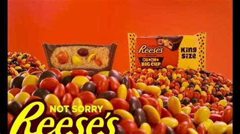 Reeses Tv Spot Reeses With Pieces Ispottv