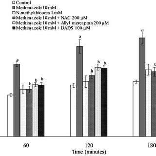 Methimazole Induced Ros Formation In Rat Hepatocytes And The Role Of