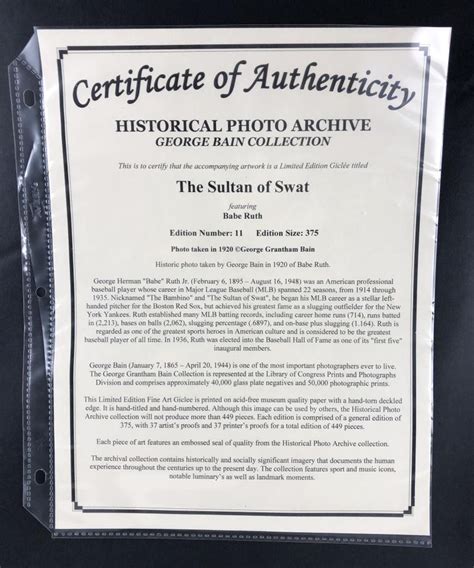 Babe Ruth Le The Sultan Of Swat Custom Framed Historical Photo