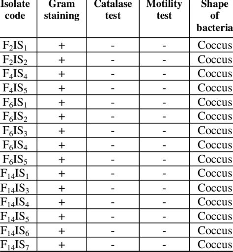 Phenotypic Identification Of Lactic Acid Bacteria Download Scientific