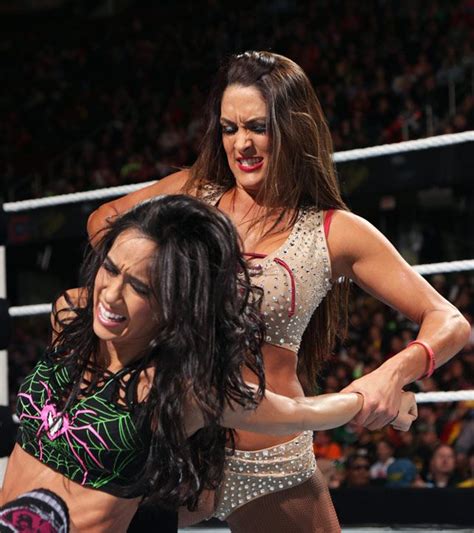 WWE TLC 2014: AJ Lee vs Nikki Bella - Divas Championship Match | Nikki ...