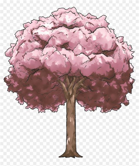 Cherry Blossom Tree - Cherry Blossom Anime Tree Drawing, HD Png Download - 1161x1306(#134495 ...