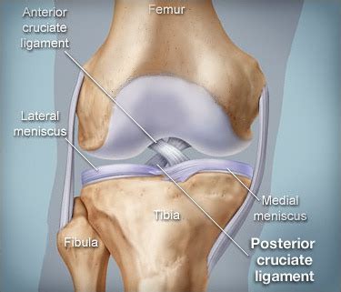 Perawatan Cedera Ligamen Krusiat Anterior Homecare