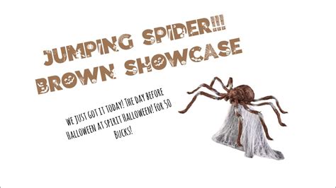 We Just Got Brown Jumping Spider Animatronic For 50 Off At Spirit