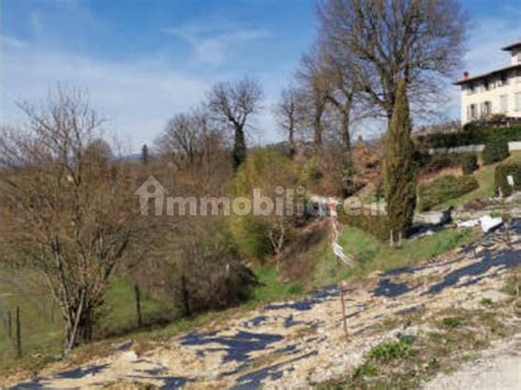 Asta Per Terreno Agricolo Frazione Molinuccio Vicchio Rif