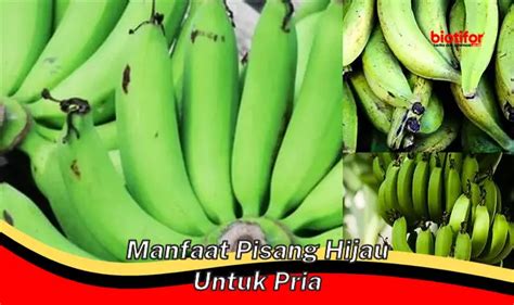 Temukan 5 Manfaat Apel Hijau Untuk Pria Yang Jarang Diketahui Biotifor