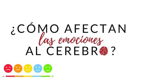 Cómo afectan LAS EMOCIONES al cerebro YouTube