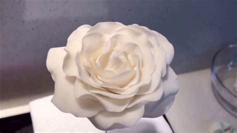 How To Make A White Rose Gum Paste YouTube