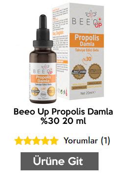 Propolis Nedir Faydalar Nelerdir