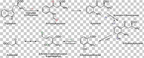 Nujol Molecule Chemistry Chemical Formula Substituent PNG, Clipart, Alkyne, Angle, Area, Auto ...