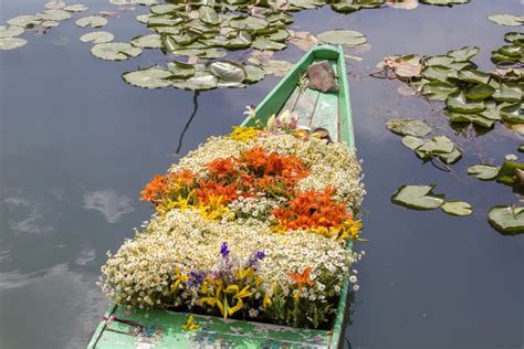 Flowers on Boat at Floating Market in Morning on Dal Lake in Srinagar ...