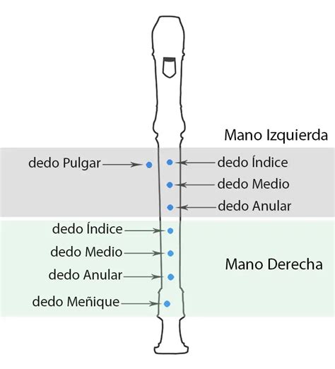 Álbumes 96 Foto Videos De Como Tocar La Flauta Actualizar 10 2023