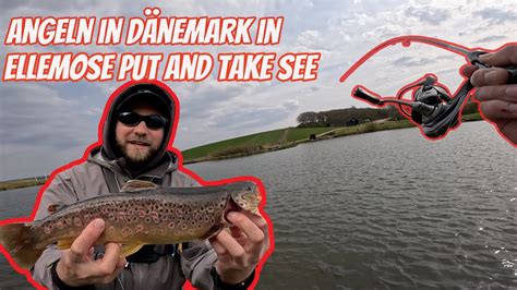 Forellen Angeln In D Nemark In Ellemose Mit Ultra Light Tackle Youtube