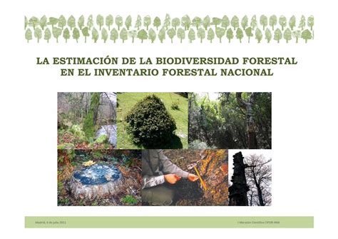 PDF LA ESTIMACIÓN DE LA BIODIVERSIDAD FORESTAL EN PDF