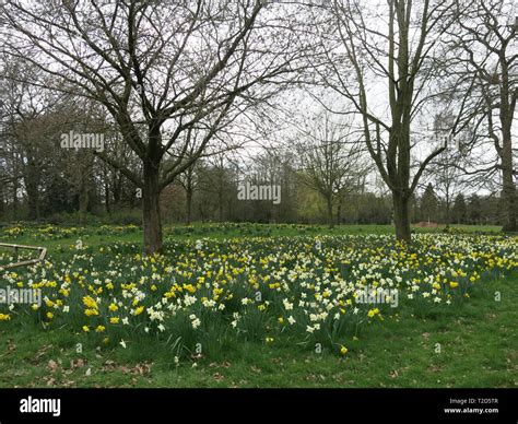 View Of Worden Park On A Sunny Day In Spring Time Wide Open Space To