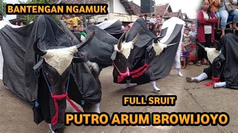 Bantengan Ngamuk Full Sruit Putro Arum Browijoyo Live Pakis Trowulan