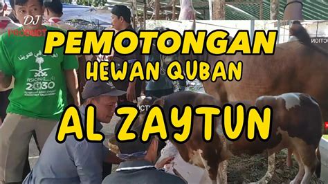 Pemotongan Hewan Qurban Di Mahad Al Zaytun Tahun 1444 Hijriyah YouTube