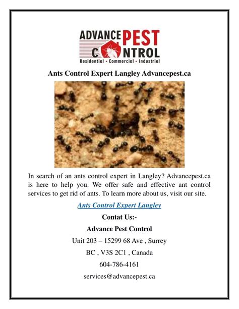 Ppt Ants Control Expert Langley Advancepest Ca Powerpoint