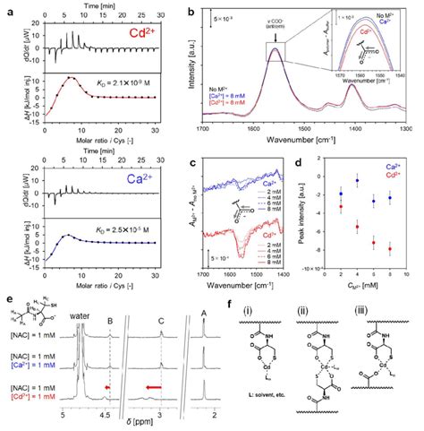 Selective Capture Of Cd 2 Ions By Bio Inspired PAA Cys5 A Plots