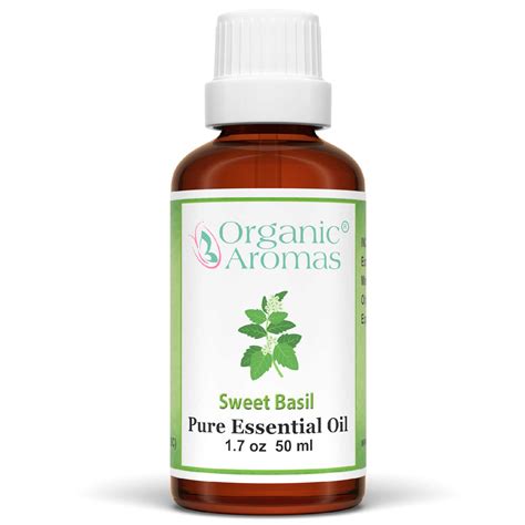 Sweet Basil Essential Oil Benefits And Uses Organic Aromas®