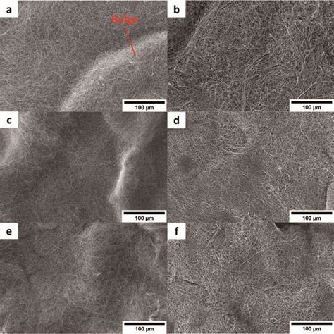 SEM Cross Sections Of CuCNT A And C And NiCNT B And D Composites