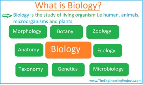 What Is Biology Definition Branches Books And Scientists The