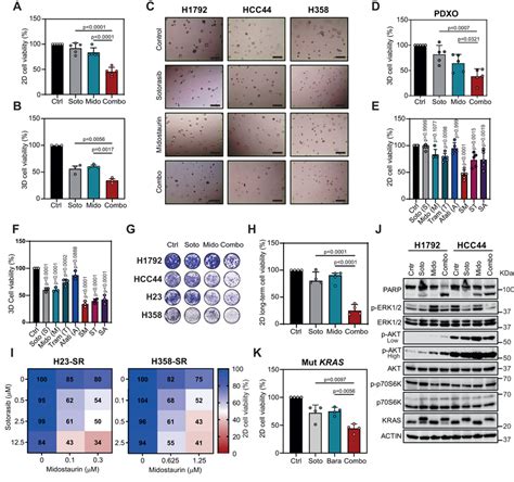 Synergistic Effect Of Krasi Sotorasib And Midostaurin Combination On